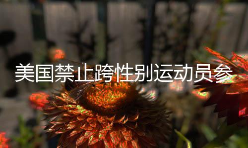 美國(guó)禁止跨性別運(yùn)動(dòng)員參加女子賽事，跨性別平等議題引發(fā)社會(huì)熱議