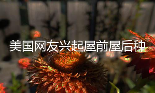 美國(guó)網(wǎng)友興起屋前屋后種菜熱潮