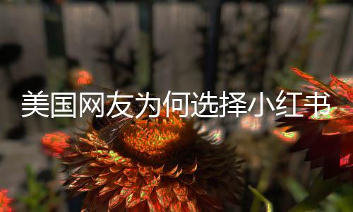 美國網(wǎng)友為何選擇小紅書？