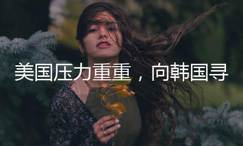 美國壓力重重，向韓國尋求援助