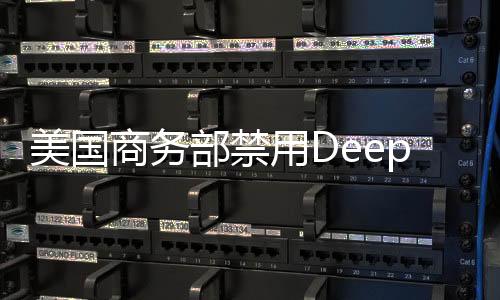 美國商務(wù)部禁用DeepSeek事件的背景及中國外交部回應(yīng)探微