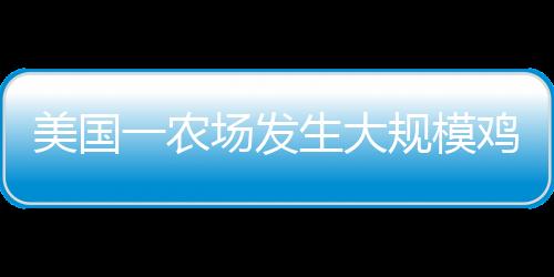 美國一農場發(fā)生大規(guī)模雞蛋失竊案，逾十萬枚雞蛋被盜，警方展開調查