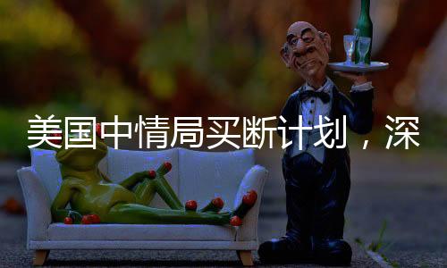 美國(guó)中情局買斷計(jì)劃，深度解析與影響評(píng)估