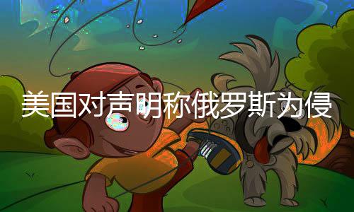 美國(guó)對(duì)聲明稱(chēng)俄羅斯為侵略者持反對(duì)態(tài)度，探究各方立場(chǎng)與影響