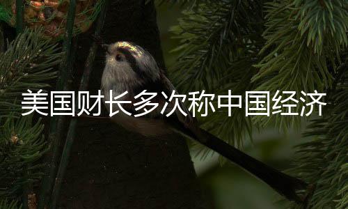 美國財長多次稱中國經濟過度依賴出口，觀點分析與經濟解讀