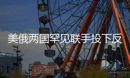 美俄兩國罕見聯(lián)手投下反對(duì)票，美媒驚呼，全球格局新變化？