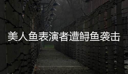 美人魚表演者遭鱘魚襲擊 景區(qū)回應，安全與娛樂并重的重要課題