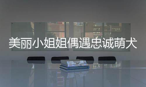 美麗小姐姐偶遇忠誠(chéng)萌犬，深情夸贊引發(fā)意外碰瓷事件