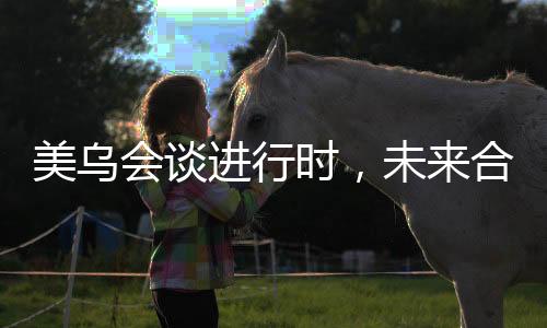 美烏會談進行時，未來合作的走向與談判的變數(shù)