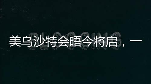 美烏沙特會(huì)晤今將啟，一場(chǎng)涉及多重議題的國(guó)際對(duì)話正式開啟