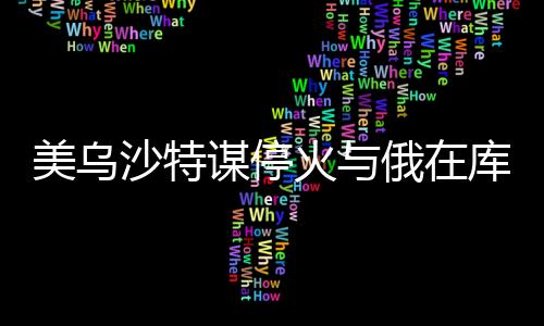 美烏沙特謀停火與俄在庫爾斯克猛攻的最新動態(tài)分析