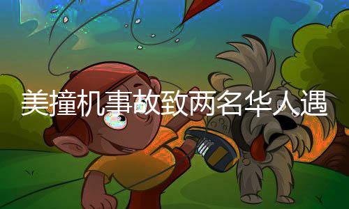 美撞機事故致兩名華人遇難，事故細節(jié)及后續(xù)關(guān)注一覽