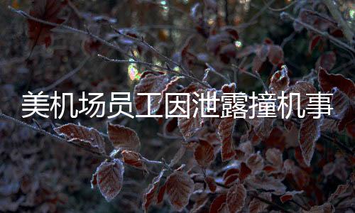 美機(jī)場員工因泄露撞機(jī)事故視頻被捕，引發(fā)社會關(guān)注與討論