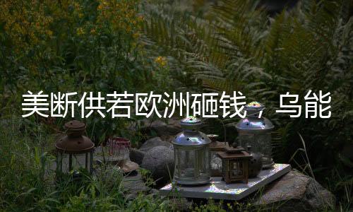 美斷供若歐洲砸錢，烏能否堅持下去？
