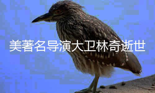 美著名導演大衛(wèi)林奇逝世，一生輝煌成就矚目