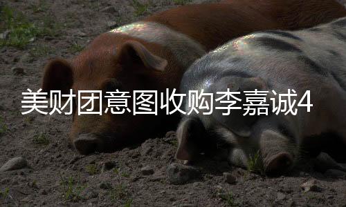 美財(cái)團(tuán)意圖收購(gòu)李嘉誠(chéng)43個(gè)港口，究竟有何圖謀？
