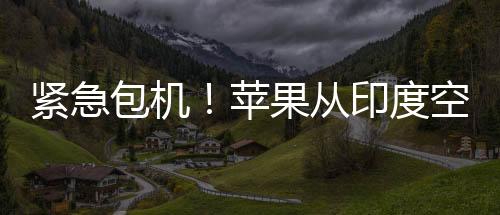 緊急包機(jī)！蘋果從印度空運600噸iPhone
