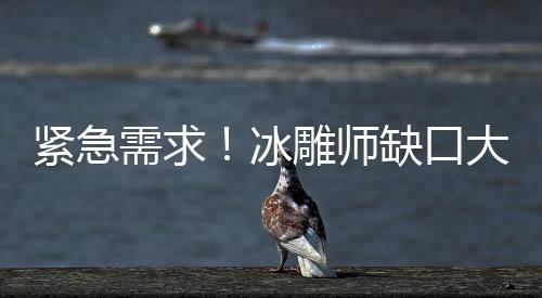 緊急需求！冰雕師缺口大，日薪高達(dá)3500元！