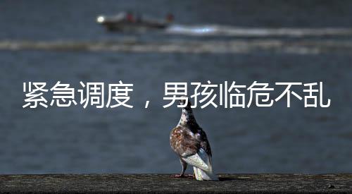 緊急調(diào)度，男孩臨危不亂，在家為母親接生，120調(diào)度員的遠(yuǎn)程指導(dǎo)顯成效