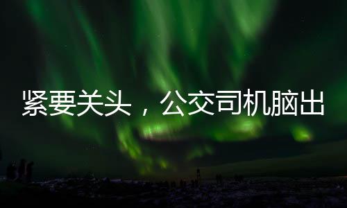 緊要關(guān)頭，公交司機(jī)腦出血仍堅守職責(zé)——生命之手守護(hù)乘客安全