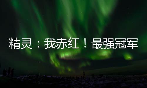 精靈：我赤紅！最強冠軍！