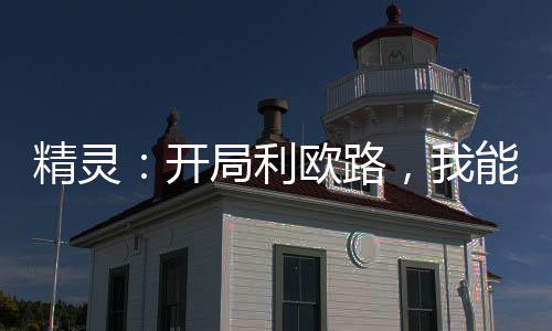 精靈：開局利歐路，我能升級(jí)詞條