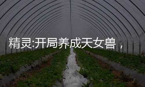 精靈:開局養(yǎng)成天女獸，擇日成親