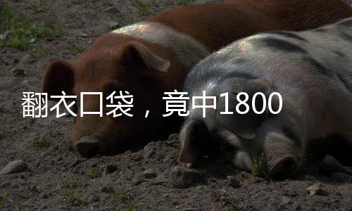 翻衣口袋，竟中1800萬大獎！驚人幸運(yùn)故事揭秘