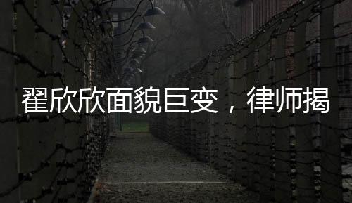 翟欣欣面貌巨變，律師揭示背后故事