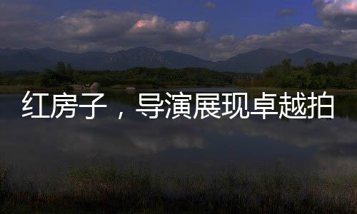 紅房子，導演展現(xiàn)卓越拍攝才華