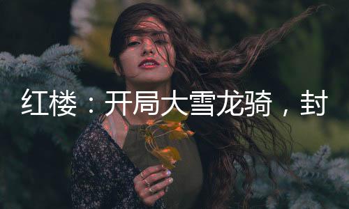 紅樓：開(kāi)局大雪龍騎，封狼居胥