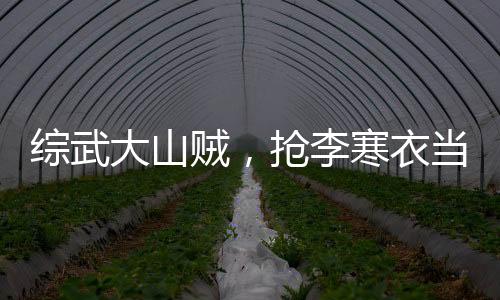 綜武大山賊，搶李寒衣當壓寨夫人