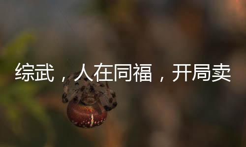 綜武，人在同福，開(kāi)局賣(mài)琴為生