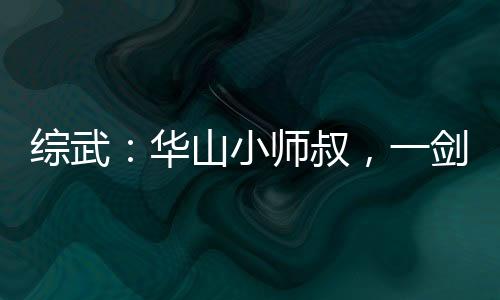 綜武：華山小師叔，一劍壓天下