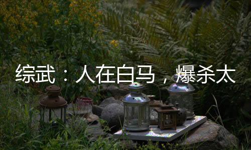 綜武：人在白馬，爆殺太安帝！