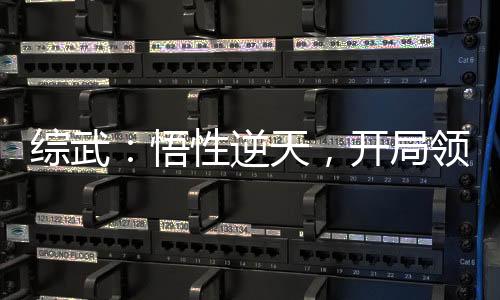 綜武：悟性逆天，開局領悟者字秘