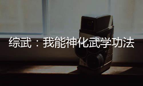 綜武：我能神化武學功法