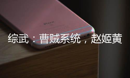 綜武：曹賊系統(tǒng)，趙姬黃蓉潘金蓮
