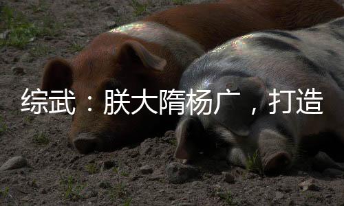 綜武：朕大隋楊廣，打造至高天庭