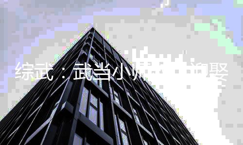 綜武：武當(dāng)小師叔，迎娶李寒衣