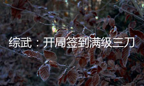綜武：開局簽到滿級(jí)三刀流