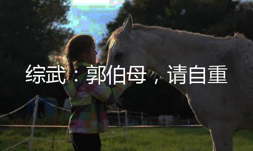 綜武：郭伯母，請(qǐng)自重