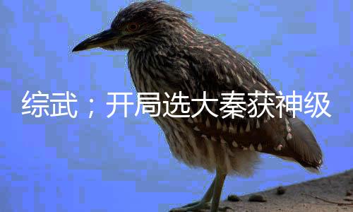 綜武；開局選大秦獲神級(jí)系統(tǒng)