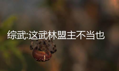 綜武:這武林盟主不當(dāng)也罷！