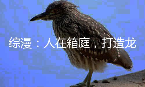 綜漫：人在箱庭，打造龍族共同體