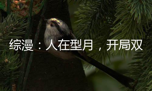 綜漫：人在型月，開局雙穿木葉