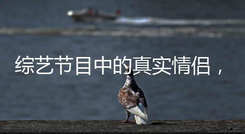 綜藝節(jié)目中的真實(shí)情侶，公費(fèi)戀愛的綻放
