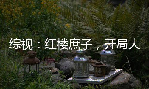 綜視：紅樓庶子，開局大雪龍騎
