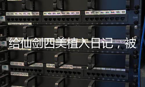 給仙劍四美植入日記，被玩壞了