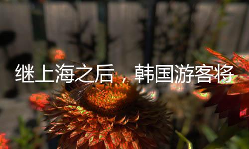 繼上海之后，韓國游客將涌入哪里？旅游新動向深度解析